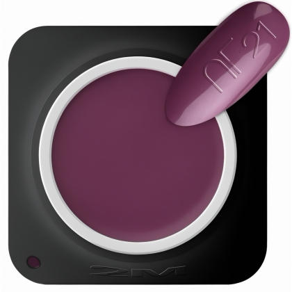 Gel Color 2M Beauty Fără Fixare Nr. 21